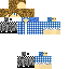 Texture for steve