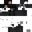 Texture for ender