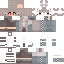 Texture for li2
