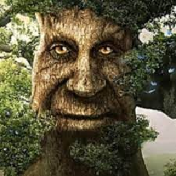 Texture for Wise tree