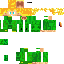 Texture for gohan resurrection of f