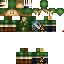 Texture for Link