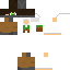 Texture for homercraft