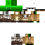 Texture for turtle