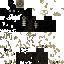 Texture for lupo skull