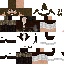 Texture for Medieval