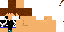 Texture for SPRINGBREAK