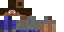 Texture for Steve