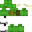 Texture for Turtle Grécia