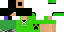 Texture for char
