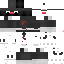Texture for PinguP