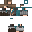 Texture for gilrs
