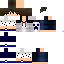 Texture for Camelot