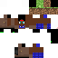 Texture for SurvConstrutorGrama