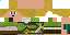 Texture for Zorn/Link