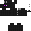 Texture for enderdrache