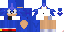 Texture for sonic the creeperhog