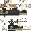 Texture for sunffower