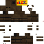 Texture for fixed cat