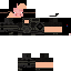 Texture for nyan pig