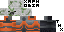Texture for pigman