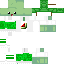 Texture for turtel