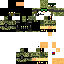 Texture for tran10