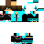 Texture for reversvlad