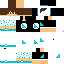 Texture for Nova skin com toca