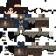 Texture for Brendan of fornost new cloak