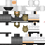 Texture for PirateDestructor