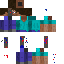 Texture for steve robot
