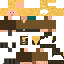 Texture for ladragon viking corect