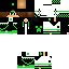Texture for steve