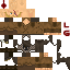 Texture for priest