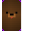 Texture for bear
