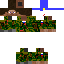 Texture for гаег