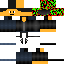 Texture for G10S1