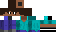 Texture for CollSteve