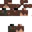 Texture for Townspreson4