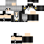 Texture for Hawk