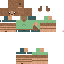 Texture for flightag1