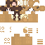 Texture for LucidDreamer_