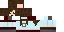 Texture for real sipsco lily fixed