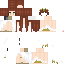 Texture for mc recent skin