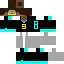 Texture for EnderBRO