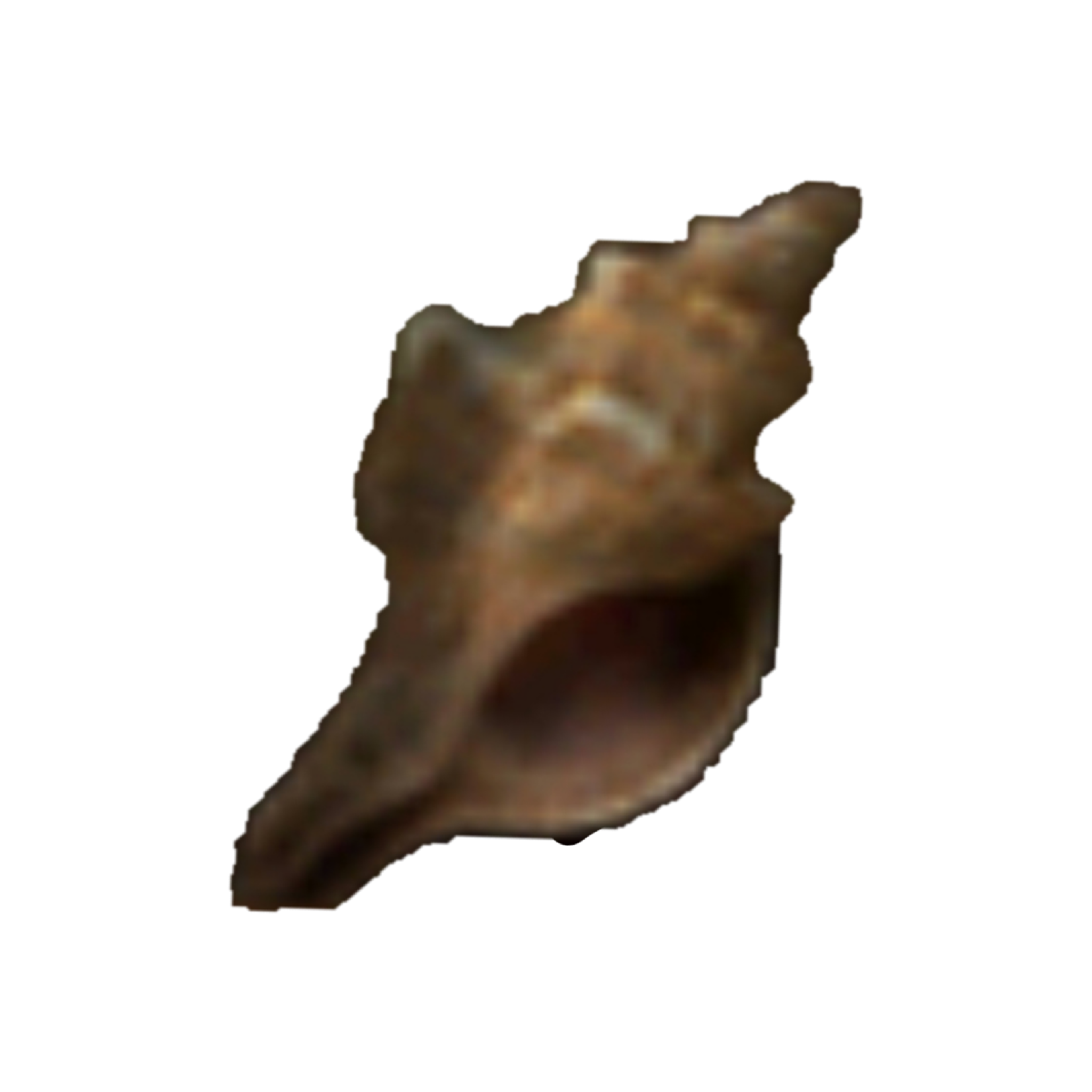 Texture for Shell
