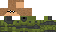 Texture for GruntCatcher