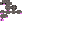 Texture for rat
