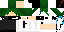Texture for ｓｓ